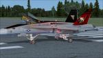 FSX Acceleration F/A-18 VFA-31 Tomcatters CAG Textures